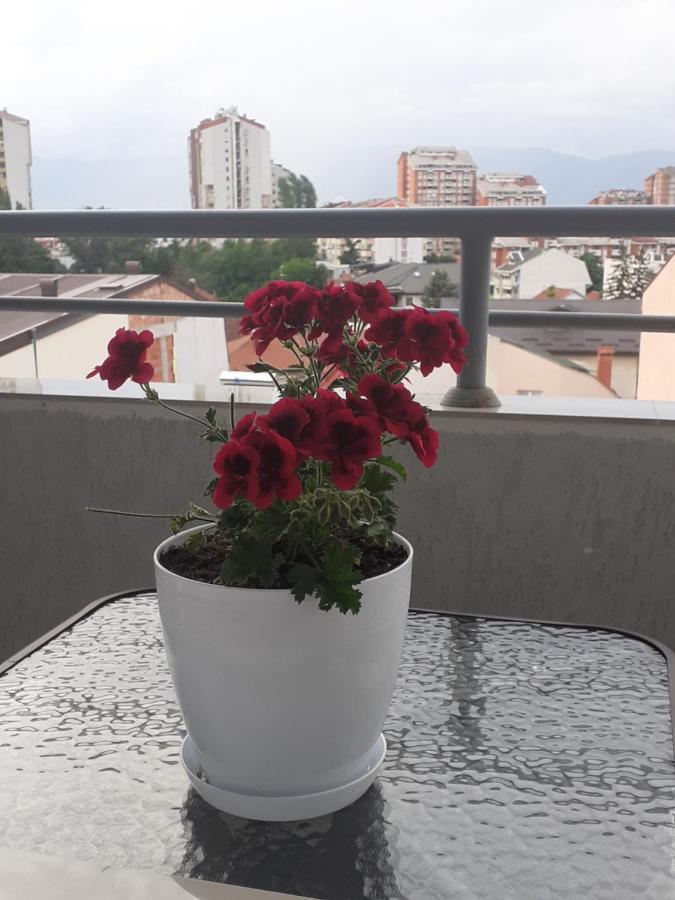 Ballet Apartament Skopje Esterno foto